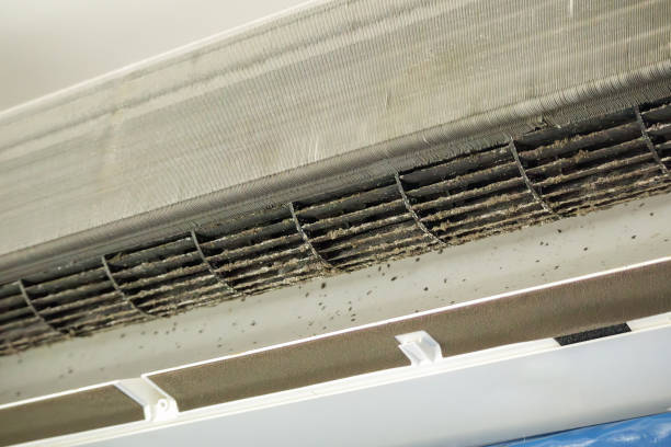 Best Ventilation Cleaning Services  in Scott City, MO
