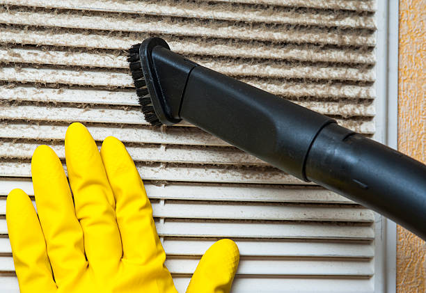Best Air Duct Mold Removal  in Scott City, MO